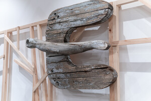 DSC05988.jpg DSC05988.jpg