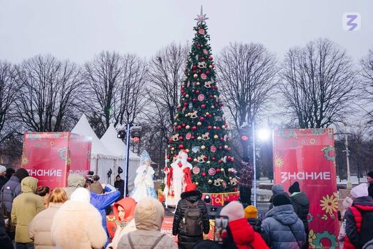 Игрушка оренбургской студентки украсила главную елку ВДНХ в Москве