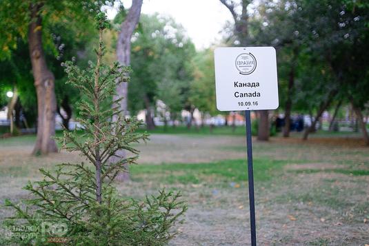 Участники международного форума посетят «Аллею Евразии»